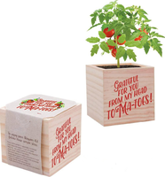 Cadeau d'appréciation de cube de plante et jardinière en bois-accessoire de bureau de remerciement de l'enseignant de l'employé