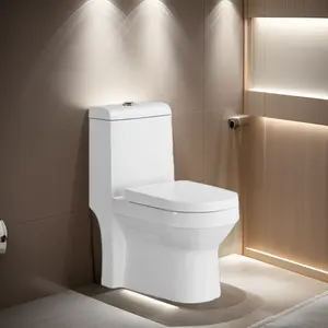 WC moderne en céramique Toilette monobloc articles sanitaires de gros pour une utilisation en appartement