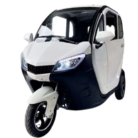 Nouveau tricycle électrique LEO E3 entièrement fermé pour les trajets quotidiens, avec moteur à moyeu arrière, 3 vitesses, 60V, trois places, 1500W