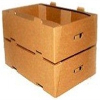 Op maat gemaakte gegolfde stevige fruitdozen, geventileerd, waterbestendig, matte laminatie, exportverzenddozen