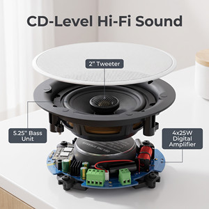 Interrupteur WiFi intelligent avec contrôle via l'application <span class=keywords><strong>WIIM</strong></span>, Bluetooth sans fil, puissance de sortie 30-50W, lecture multi-pièces, haut-parleur de plafond - Product Image 4