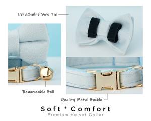 Collar de terciopelo Lightblue Veet personalizado para gato con lazo y correa, conjunto con placa de identificación grabada a medida para gatito o cachorro, número de teléfono sólido pequeño - Product Image 5