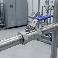 Vanne à boisseau sphérique en acier inoxydable pour traitement de l'eau, filetée, 304 316, à passage plein, avec levier, CE ISO 1000WOG 2000PSI