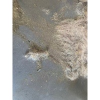 Machine à ouvrir les fibres QDYG monocylindre pour la laine de mouton, le cachemire et les poils de yack, produisant des fibres moelleuses
