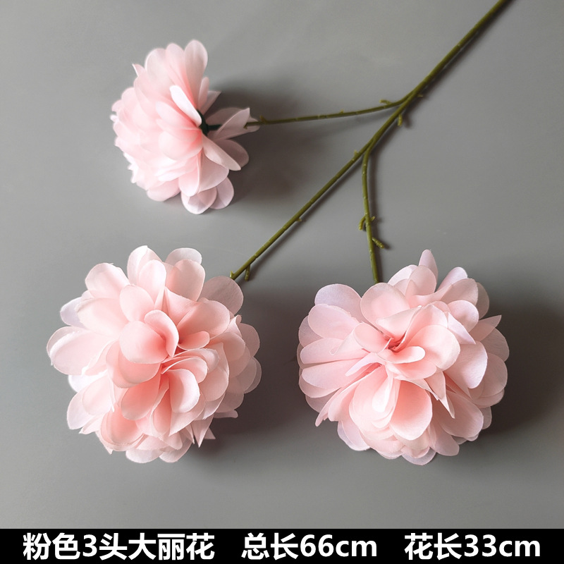 3 dahlias