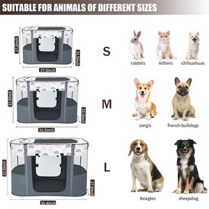 סיטונאי פופ-אפ סיטונאי לחיות מחמד פלייפן - Product Image 5