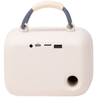 Enceinte de karaoké WESDAR avec micros sans fil - Bt 5.3, son 10w, lumières RVB, entrée TF/USB/AUX pour chanter à la maison et en extérieur