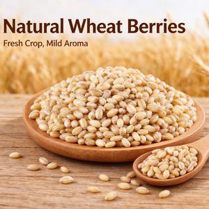 Grani di Frumento Decorticati 500g, Ricchi di Fibre, Cereali Integrali Essiccati a Basso Contenuto di Impurità per Porridge, Insalate, Uso Domestico e Ristorazione - Product Image 2