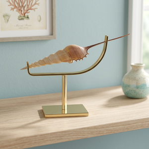 ขาตั้งและที่วางเปลือกหอยทะเลทองเหลืองสำหรับตกแต่งบ้าน - Product Image 3