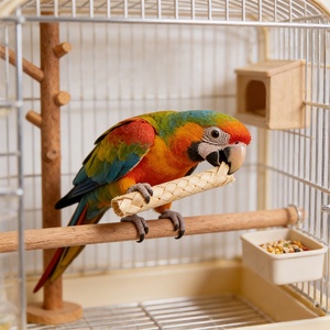 <span class=keywords><strong>Jouet</strong></span> interactif durable en bambou tressé pour perroquet et <span class=keywords><strong>hamster</strong></span>, accessoire de <span class=keywords><strong>cage</strong></span> anti-ennui, <span class=keywords><strong>jouet</strong></span> à mâcher pour oiseaux - Product Image 2