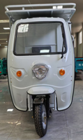 Tricycle électrique à trois roues pour colis express, véhicule de transport, marque chinoise Tuk Tuk électrique, batterie
