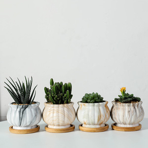 Maceta de Cerámica Pequeña, Linda y Económica, con Impresión Completa, Estilo Vintage, Ecológica, para Suculentas, Cactus, Jardín, Personalizable - Product Image 4