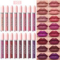 DUNUF Coffrets de Rouge à Lèvres Liquide Mat 16 Couleurs Brillant à Lèvres Imperméable Longue Durée Rouge Sexy Blanc Noir Nude Maquillage