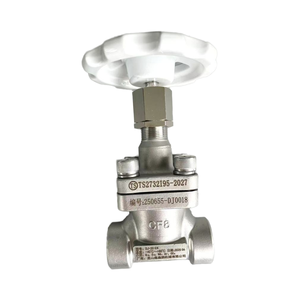 Válvula Criogénica DJ61F40P DN20 para Aplicaciones de GNL, LO2, LN2, LAr y CO2, Válvula Criogénica DJ-20GN - Product Image 4