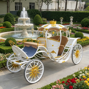 Chariot Citrouille pour Photographie de Mariage – Fournisseur Direct d'Usine, Prix Bas pour Visites de Parcs et Location Commerciale - Product Image 6