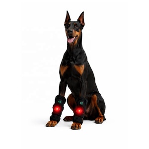 Sabuk Terapi Cahaya Inframerah Merah untuk Anjing Kecil dan Kucing Indoor, Bertenaga AC, Dapat Dipakai, Pereda Nyeri Lutut untuk Hewan Peliharaan Lansia, Perawatan <span class=keywords><strong>Arthritis</strong></span> - Product Image 1