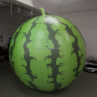 Ballon gonflable de modèle de fruit de pastèque pour la publicité