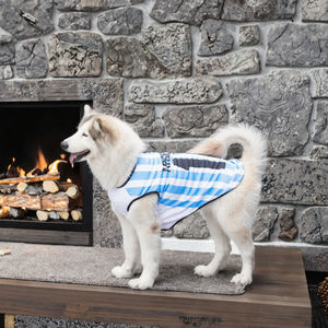 Veste inspirante pour chat en maille avec lettres, écologique, pour petits, moyens et grands chiens, Golden Retriever, vêtements d'hiver, 4 classiques, nouveauté - Product Image 3