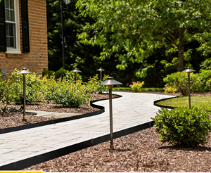 Bordure <span class=keywords><strong>de</strong></span> jardin en acier au carbone, clôture métallique pour pelouse, parterre <span class=keywords><strong>de</strong></span> fleurs, bordure décorative extérieure pour aménagement paysager - Product Image 6