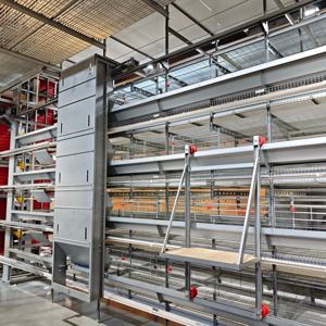 Cage <span class=keywords><strong>à</strong></span> poules compacte de 120 couches <span class=keywords><strong>prête</strong></span> <span class=keywords><strong>à</strong></span> être expédiée, <span class=keywords><strong>à</strong></span> vendre au Nigeria, cage <span class=keywords><strong>à</strong></span> poules pondeuses d'occasion pour l'expansion de la ferme - Product Image 1