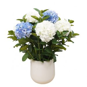 Oh Arts New Arrival Decorative Artificial Real Touch Orchid in Ceramic Pot Alocasia Bonsai Artificial <b>Ornamental</b> Potted Plants - Product Image 4