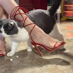 Nuevas Sandalias Rojas de Tacón Alto con Punta Abierta y Cordones Cruzados para Mujer, Modelo 2026, con Una Sola Tira y Tacón Fino Mate - Product Image 4