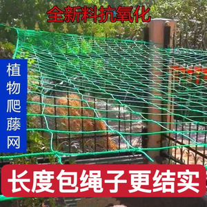 Filet de jardin pour fruits de la passion Loofah Melon Raisin Concombre Rose Vignes grimpantes Filet métallique pour poulet - Product Image 5