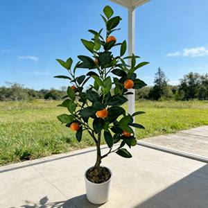 Árbol de Naranjas Artificial, Árbol Artificial, Árbol de Frutas Artificial, Árbol de Naranjas - Product Image 4