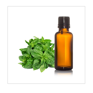 Huile essentielle de basilic de qualité supérieure pour l'aromathérapie Soulagement naturel du stress Stimulation immunitaire Soutien digestif et bien-être revigorant - Product Image 3