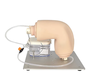 Nouveau modèle d'articulation du genou ZHIZAO, modèle d'endoscope perfusable, modèle de formation médicale, modèle de formation endoscopique sous-marine - Product Image 2