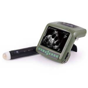 Longermay Echografie Voor Dierlijke Echografie Fysiotherapie Machine - Product Image 2