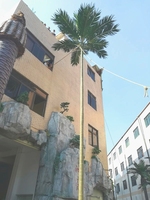Plante artificielle en forme de cocotier réaliste pour club de surf, restaurant en bord de mer, terrasse extérieure, décoration ambiance côtière