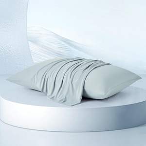 Kühlende <span class=keywords><strong>Nylon</strong></span>-Kissen bezüge Luxuriöser, weicher und glatter Bett kissen bezug für Nachtschweiß-Hot Sleepers 2St - Product Image 1