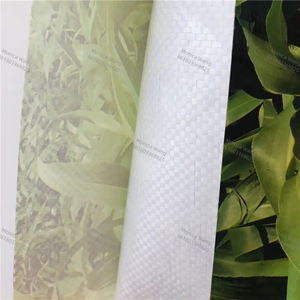 Buona qualità sacchetto di imballaggio <span class=keywords><strong>semi</strong></span> di erba da <span class=keywords><strong>prato</strong></span> stampa BOPP laminato polipropilene tessuto sacco vuoto <span class=keywords><strong>semi</strong></span> di plastica sacchetti - Product Image 3