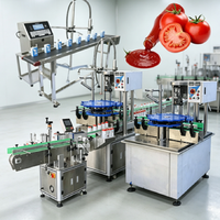 Ligne complète de production de purée de tomate 500 kg/h : lavage, pulvérisation, concentration, remplissage, tout en un