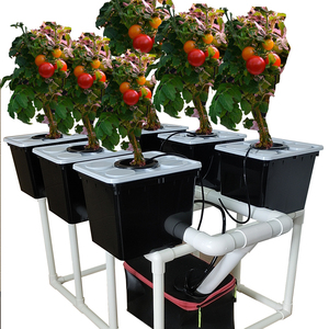 Sistema de cubo holandés o Bato con 6 cubos de maceta Soportes Bomba de tanque de <span class=keywords><strong>riego</strong></span> por goteo <span class=keywords><strong>Material</strong></span> PP para tomates Fresas - Product Image 3