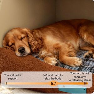 Luxury Modern Orthopedic <b>Dog</b> <b>Bed</b> for Large <b>Dogs</b> Washable Removable Cover Premium Pet Furniture Sofa Indoor Outdoor - Product Image 5