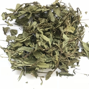 Feuilles de <span class=keywords><strong>menthe</strong></span> fraîchement récoltées, herbes séchées et thé à la <span class=keywords><strong>menthe</strong></span> <span class=keywords><strong>poivrée</strong></span> séchée - Product Image 3
