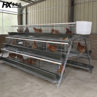 Équipement avicole : Cage à poules pondeuses, cages en batterie, ensemble d'équipement agricole pour poules pondeuses avec système de collecte des œufs
