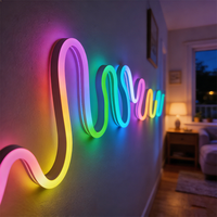 Tiras de Luz de Neón Personalizables con Instalación Flexible, Venta al por Mayor para Decoración del Hogar y Comercial