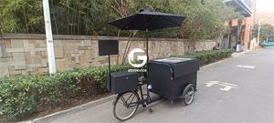 Tricycle électrique à assistance au pédalage 500w pas cher congélateur affaires Gelato vélo chariots à crème glacée vélo - Product Image 3