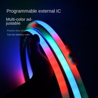 Bande lumineuse à corde flexible RGBIC de 16 pieds 24V néon dynamique pour l'extérieur connectivité USB étanche découpable pour le paysage