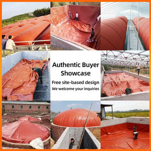 Thiết bị biogas hoàn chỉnh ngoài trời cho trang trại chăn nuôi lợn, xử lý rác thải thực phẩm gia đình, bình chứa khí, lên men, bùn đỏ mềm - Product Image 2