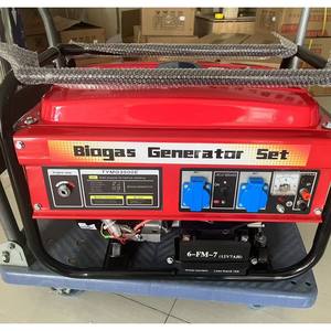 Generador de Turbina de Biogás de 5KW con 70% de Eficiencia, IP65, 400V/230V, 50/60Hz, Arranque Manual - Product Image 1