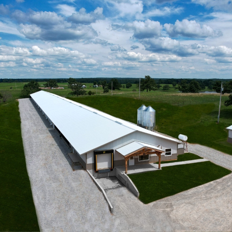 modern chicken farm house supplier