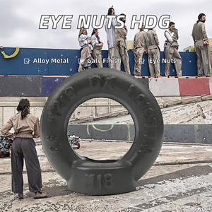 그레이드 12.9 합금 스틸 아이 너트 프리미엄 너트 제품 - Product Image 3