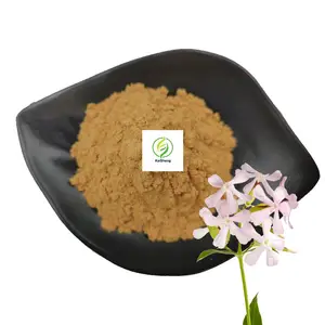 Venta al por mayor Extracto de planta Saponaria Officinalis Soapwort Extracto en polvo Soapwort Powder