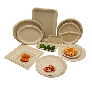 Бумажные тарелки для вечеринок TOMATO TM-P102, 9 дюймов, из сахарного тростника, без БФА, экологичные, компостируемые, безопасные, одноразовые, оптом - Product Image 3