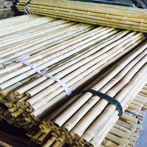 High Quality Yellow <strong>Bamboo</strong> Pole Stakes for for Plants Stand <strong>Bamboo</strong> Poles <strong>Canes</strong> HOT SALES Big <strong>Bamboo</strong> - Product Image 5