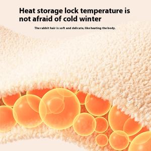 Venta caliente al por mayor impermeable invierno cálido Mat todas las estaciones lavable mediano grande perro gato cama - Product Image 4